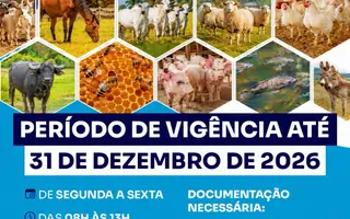 Atualização do cadastro e declaração do rebanho entra na 2ª etapa